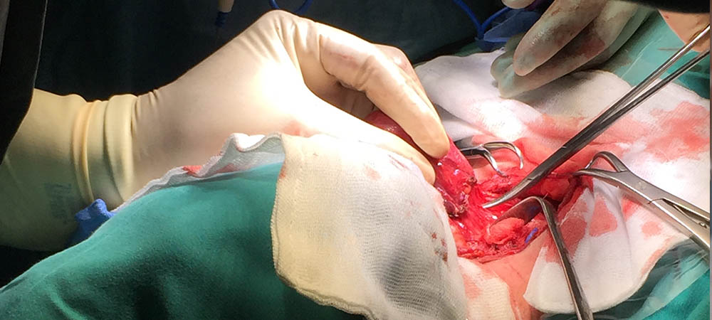 Service -Diagnosis and Treatment of Surgical Ailments